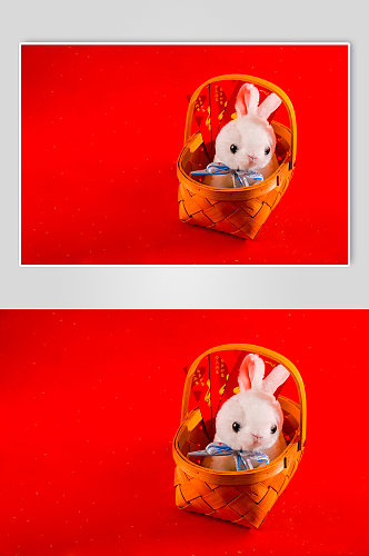 新年兔子红包春节物品元素摄影图片