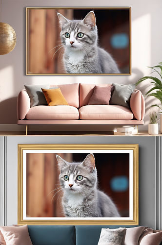 超清摄影小奶猫猫咪小猫宠物装饰画