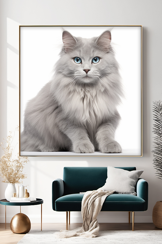 白底灰色猫咪小猫宠物装饰画