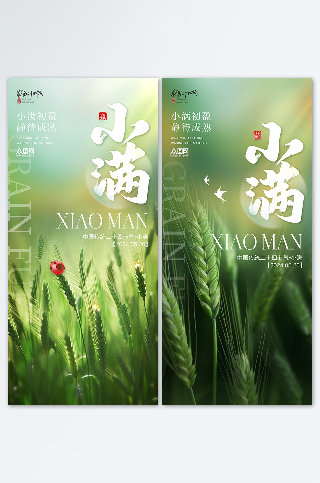 麦穗夏天小满节气造势系列海报素材
