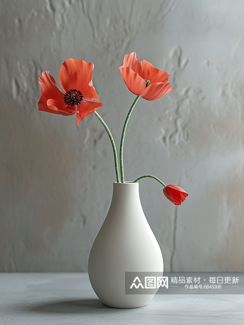 简洁白色花朵插花花瓶静物摄影素材
