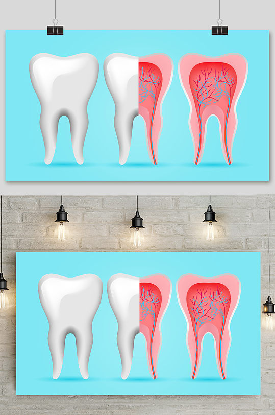 手绘矢量卡通牙齿构造图元素