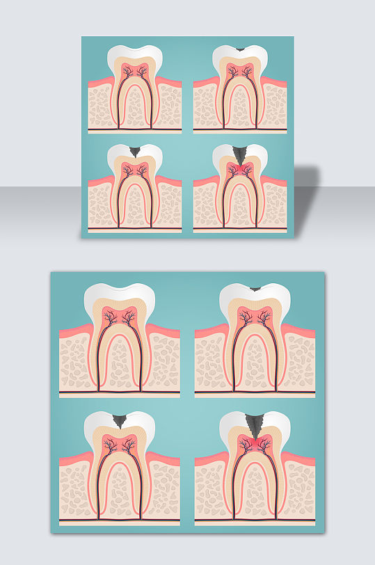 手绘矢量卡通牙齿结构图元素