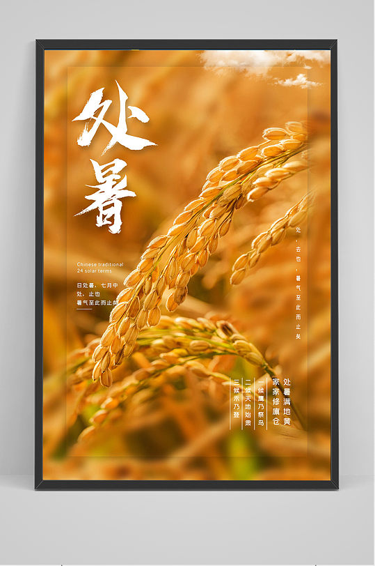 黄色摄影实图处暑节气水稻丰收宣传海报