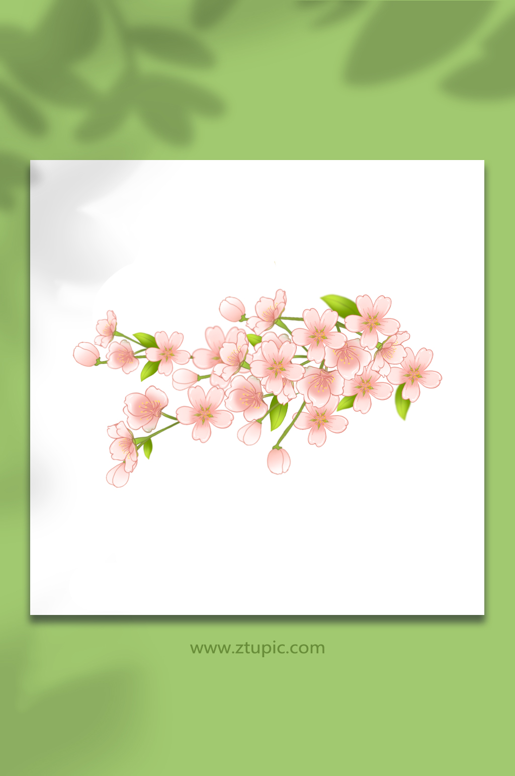 粉色樱花免扣元素素材