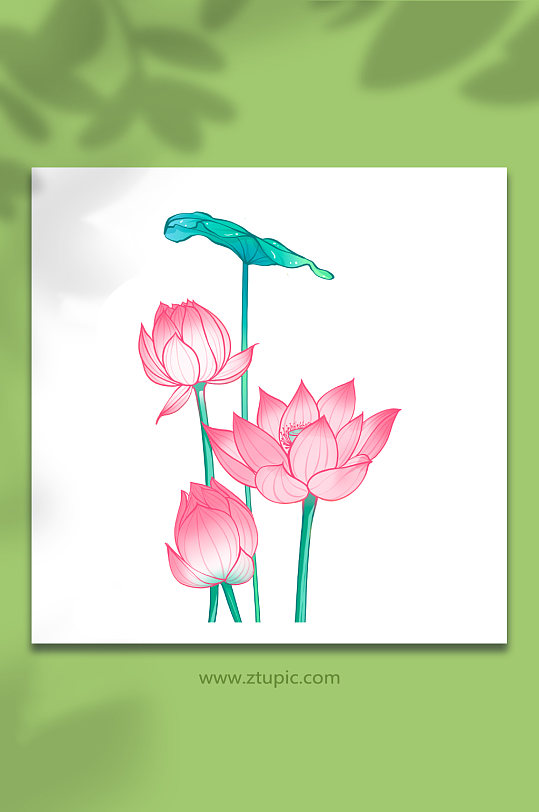 大氣古風(fēng)粉色荷花插畫免扣元素