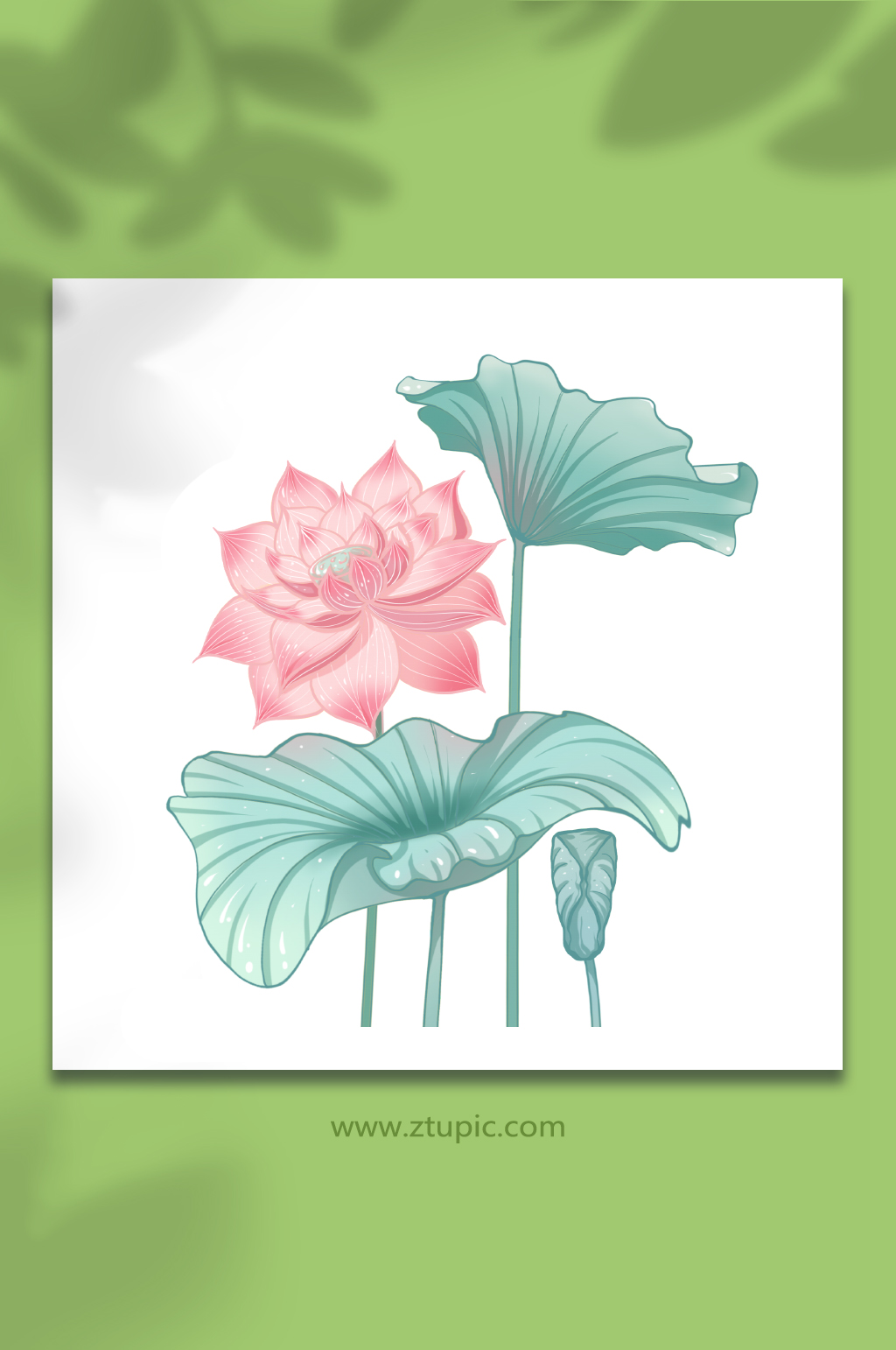 大气国潮风粉色荷花花卉元素插画素材