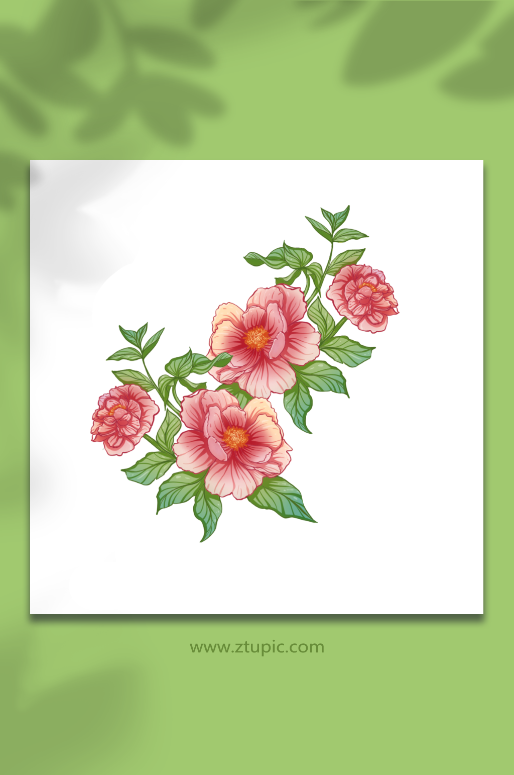 古典国潮粉色牡丹花元素插画素材