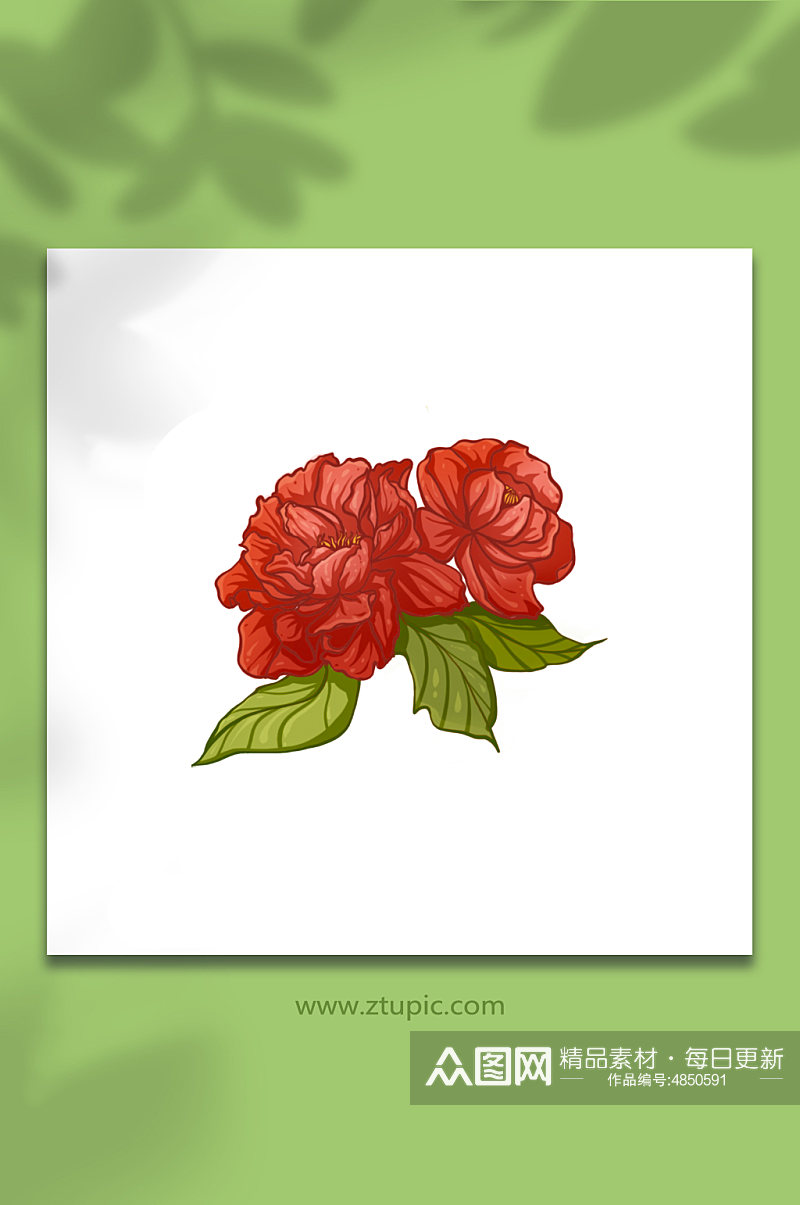 古典国潮红色牡丹花花卉元素插画素材