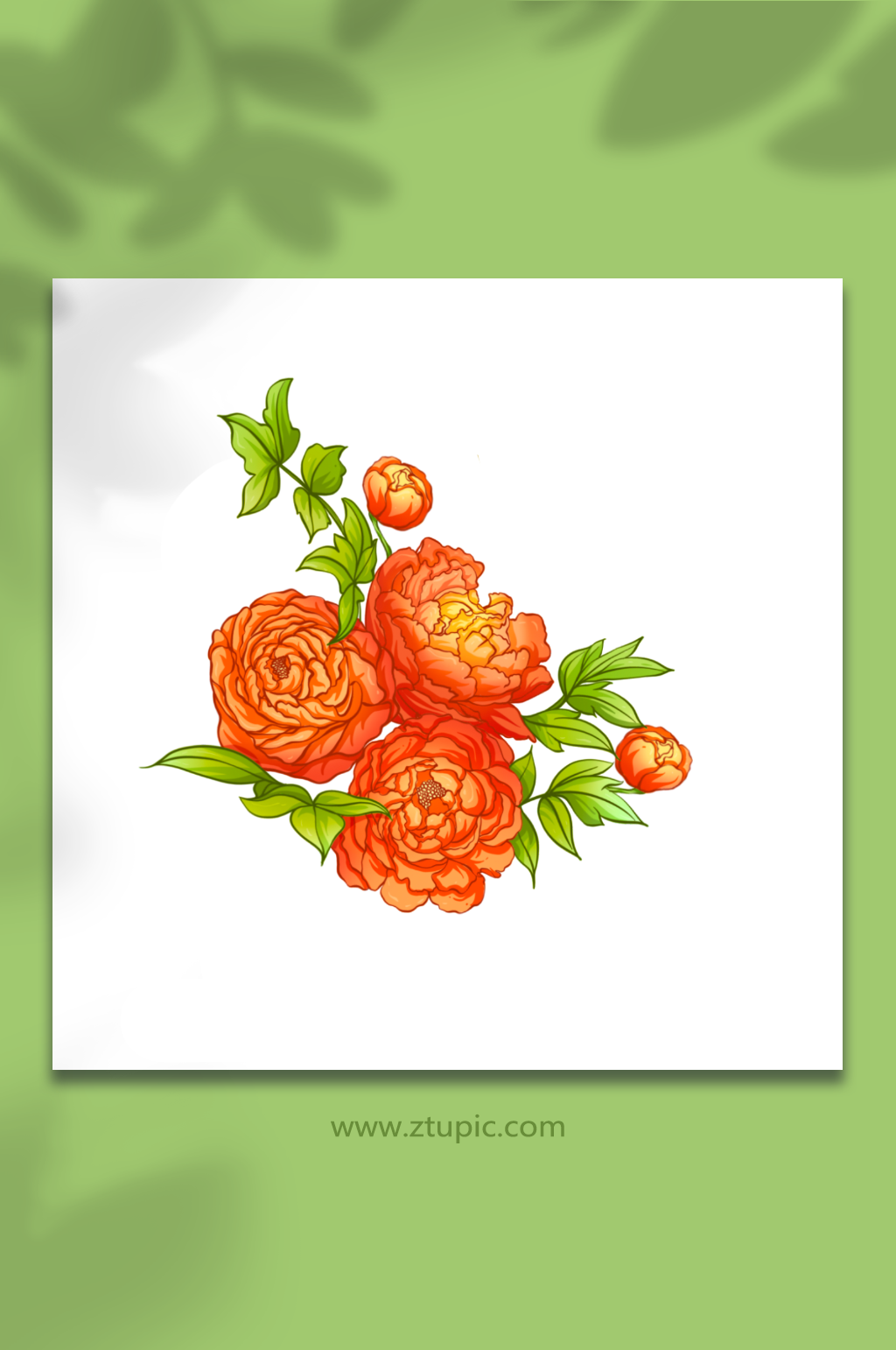 古典国潮橘色牡丹花元素插画素材
