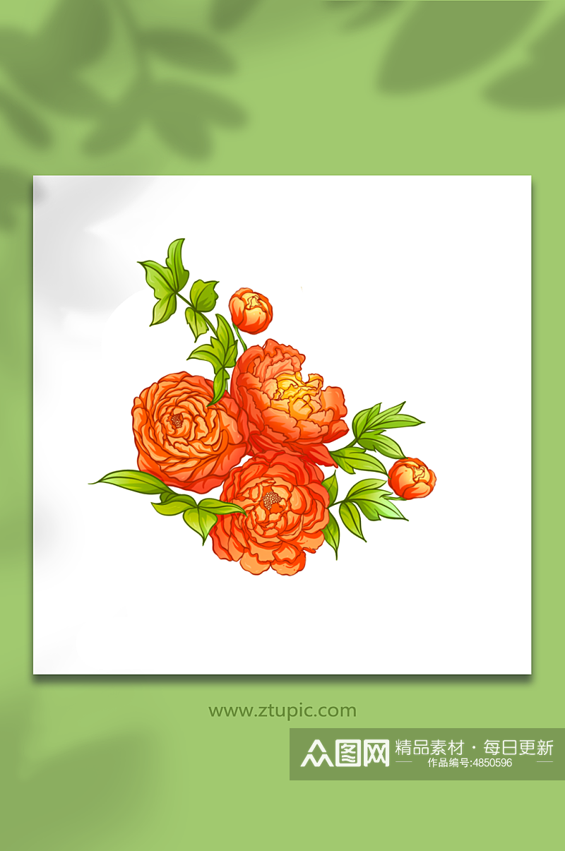 古典国潮橘色牡丹花元素插画素材