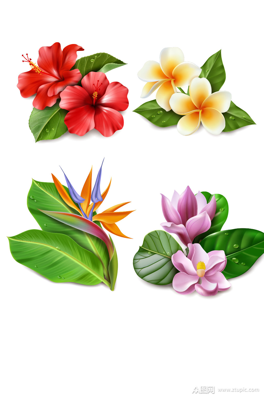 手绘花朵装饰元素矢量素材素材