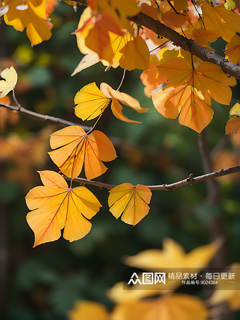 秋天银杏树枝写实摄影AI数字艺术素材