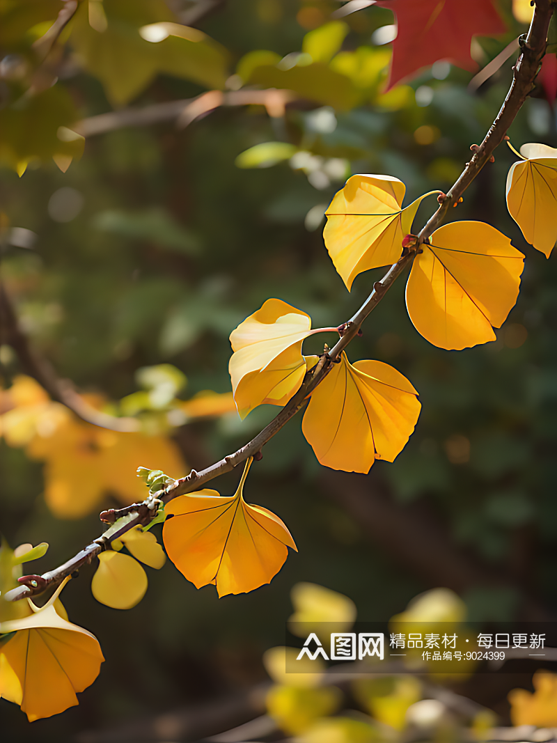 秋天银杏树枝写实摄影AI数字艺术素材