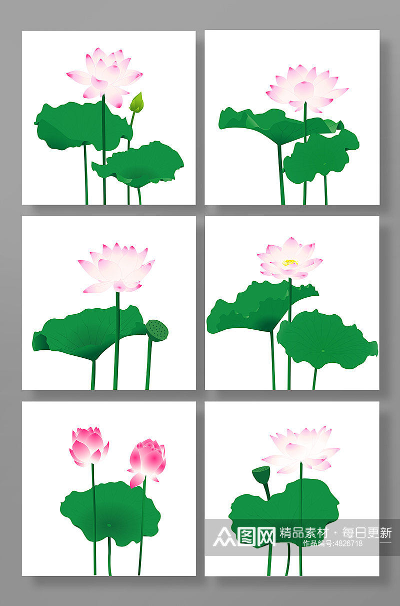 手绘夏季荷花花卉元素插画素材