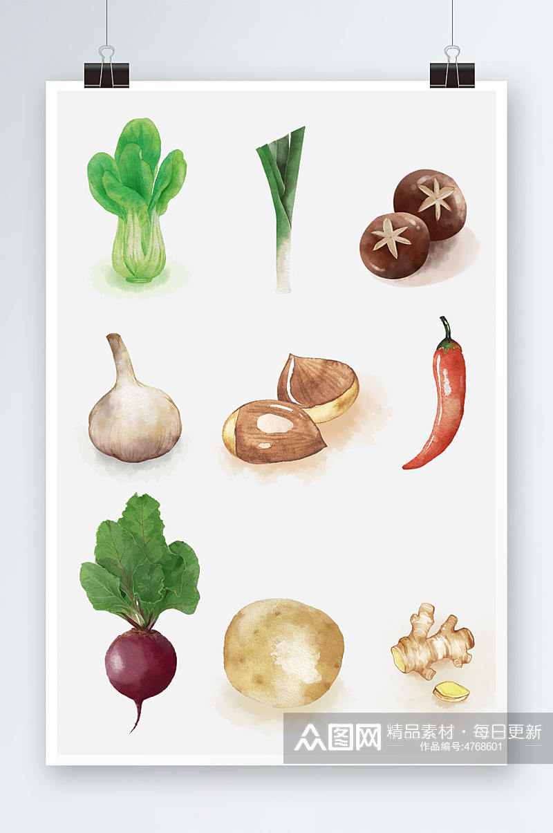 水彩风青菜香菇蔬菜元素插画素材