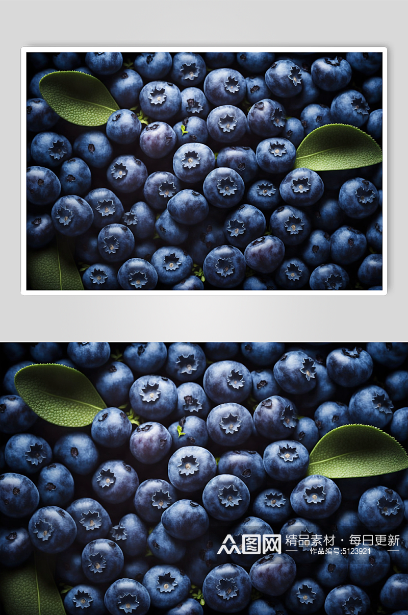蓝莓背景设计模板素材
