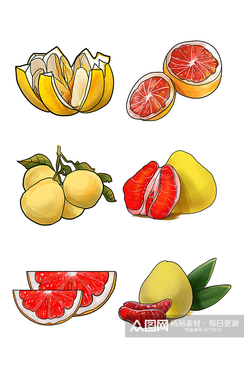 冬季手绘各种柚子水果元素插画素材