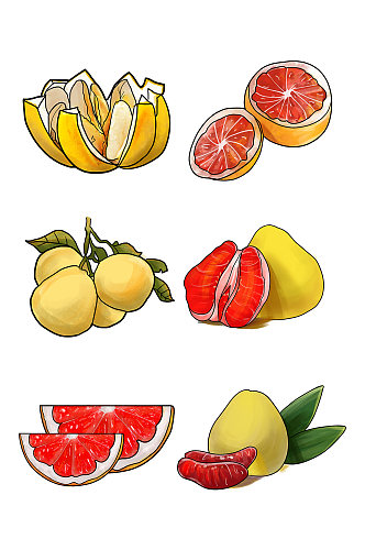 冬季手绘各种柚子水果元素插画