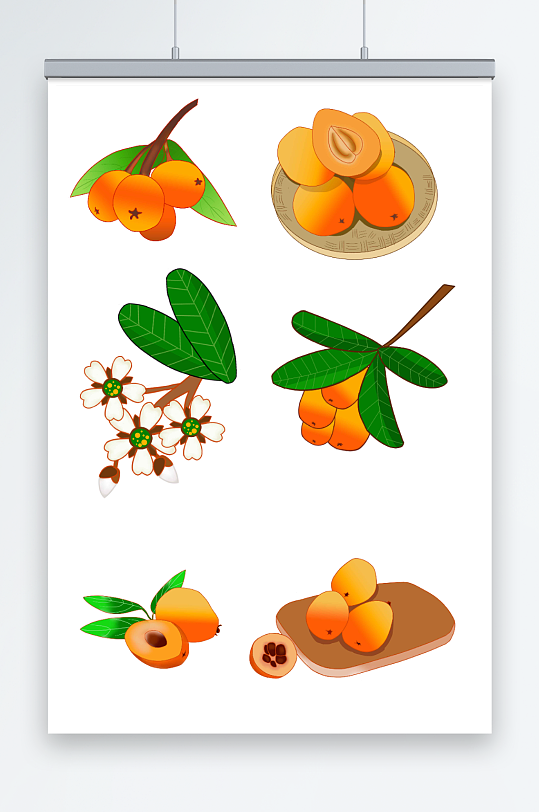 各种枇杷水果元素插画
