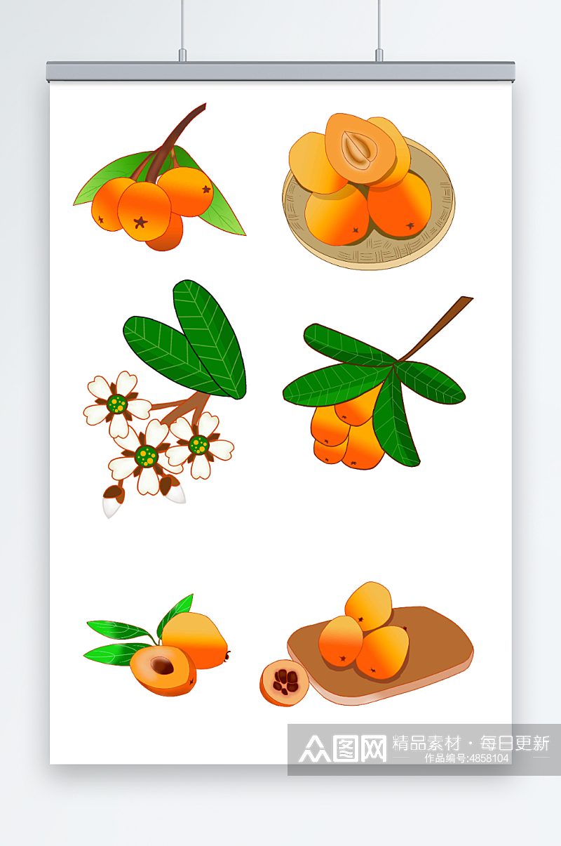 各种枇杷水果元素插画素材