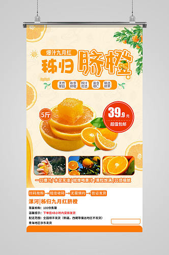 脐橙新鲜水果采摘海报