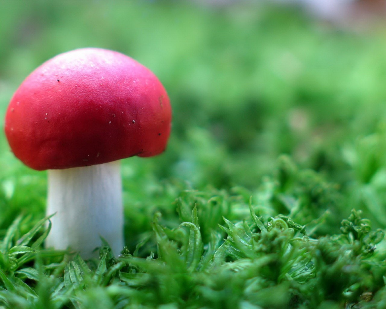 唯美自然风景秀美山河高清图摄影图素材