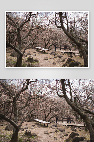 山顶风光山顶雪山风光高清摄影图片