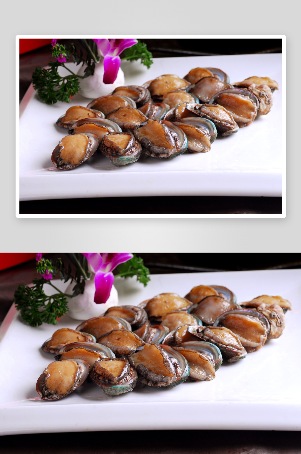 鲍鱼海鲜美食高清摄影图素材