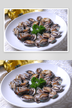 海参海鲜美食高清图摄影图