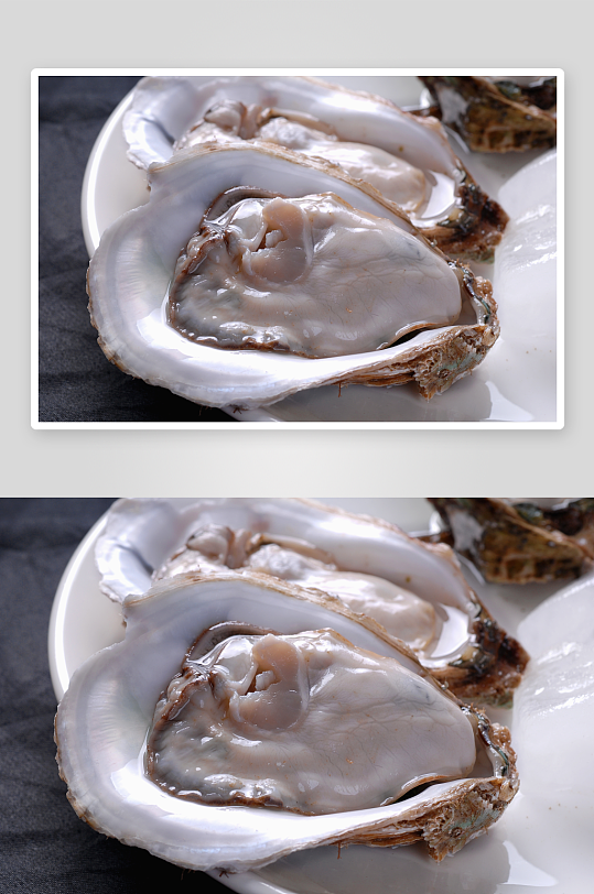 海参海鲜美食高清图摄影