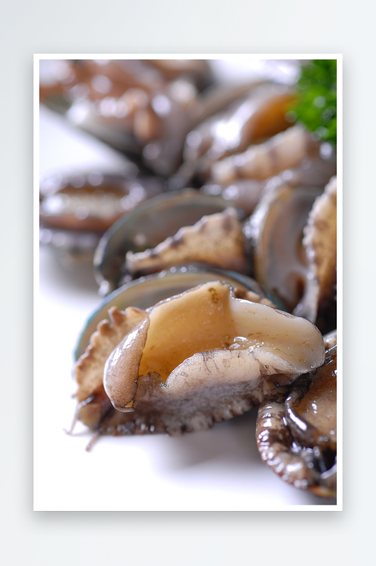 海参海鲜美食高清图摄影