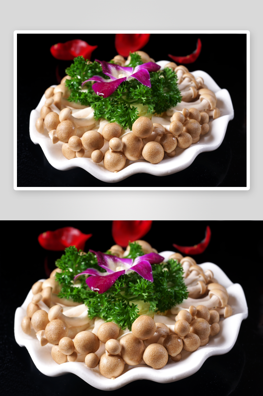 鲜菌菇美食高清图素材