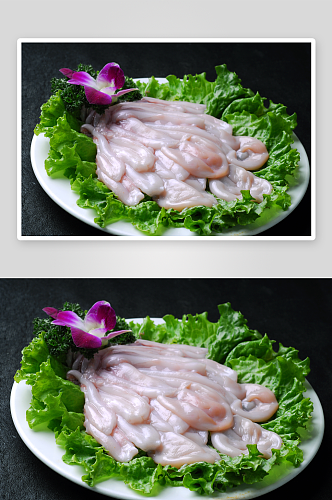海鲜系列日式八爪鱼火锅配菜摄影图