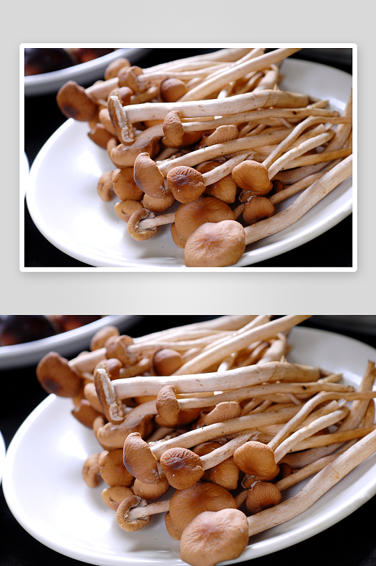 海鲜汤锅类茶树菇火锅配菜摄影图