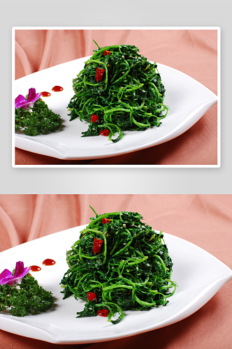 炝拌苜蓿元例凉菜美食摄影图