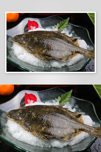 左口鱼美食高清摄影图