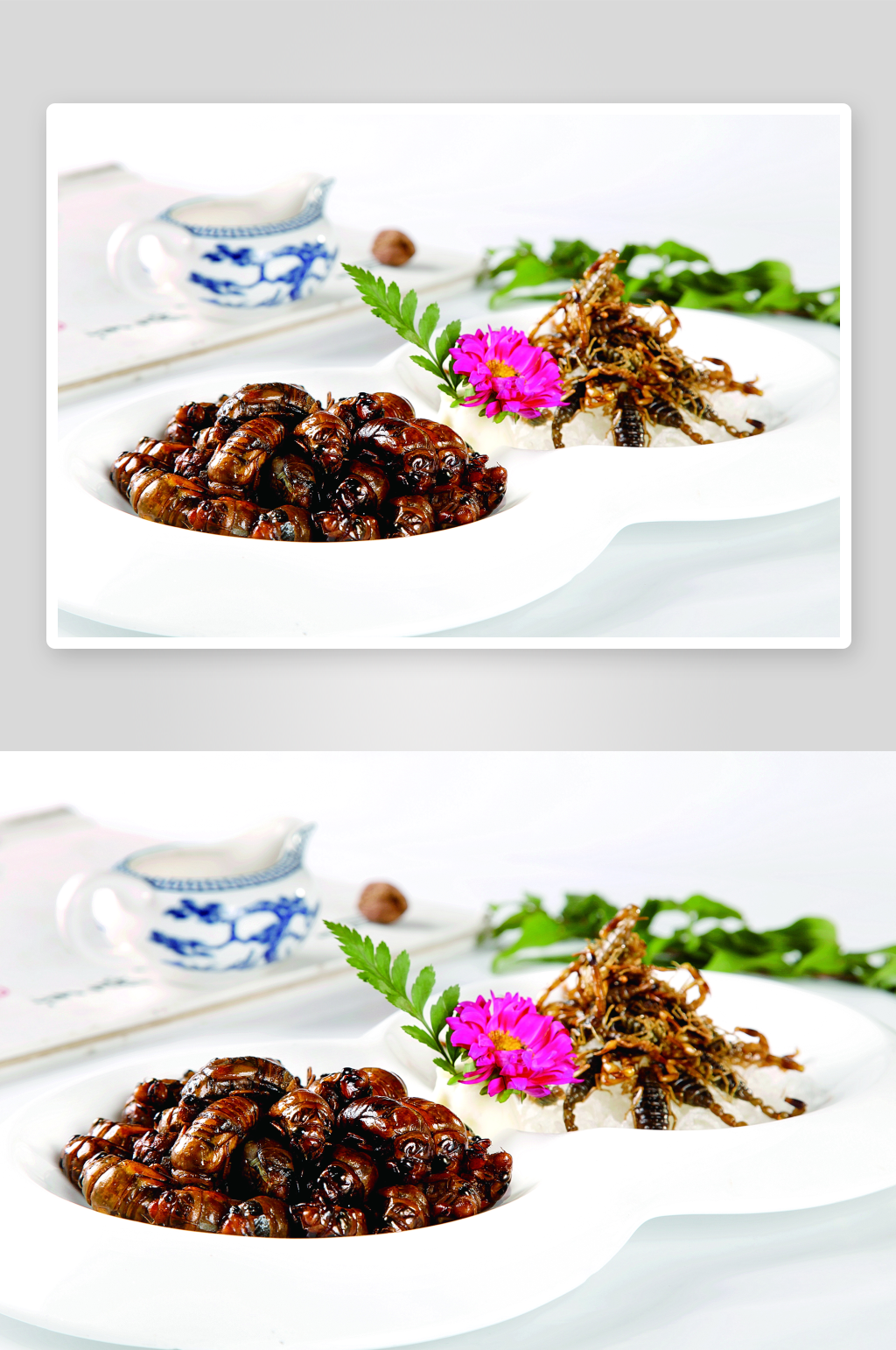 金蝉山蝎美食高清摄影图素材