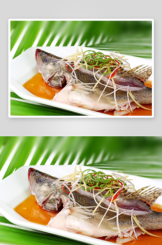 热清蒸桂鱼美食高清摄影图
