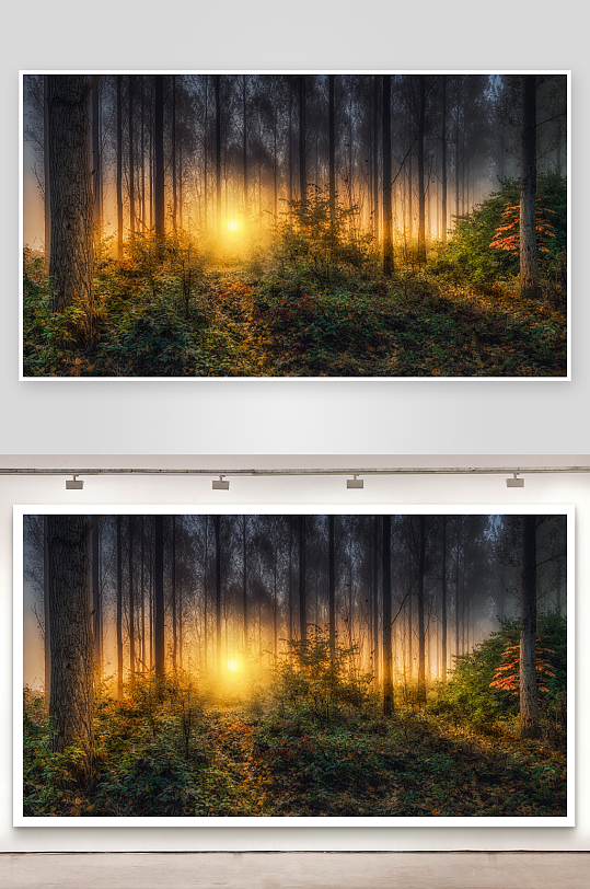 现代建筑实拍高清图摄影图