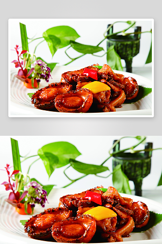 大连鲜鲍焖鸡块美食高清摄影图
