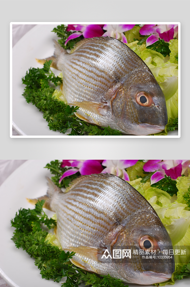 海立鱼美食高清摄影图素材