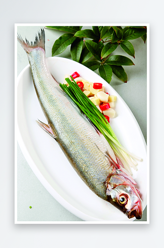太湖白鱼美食高清摄影图