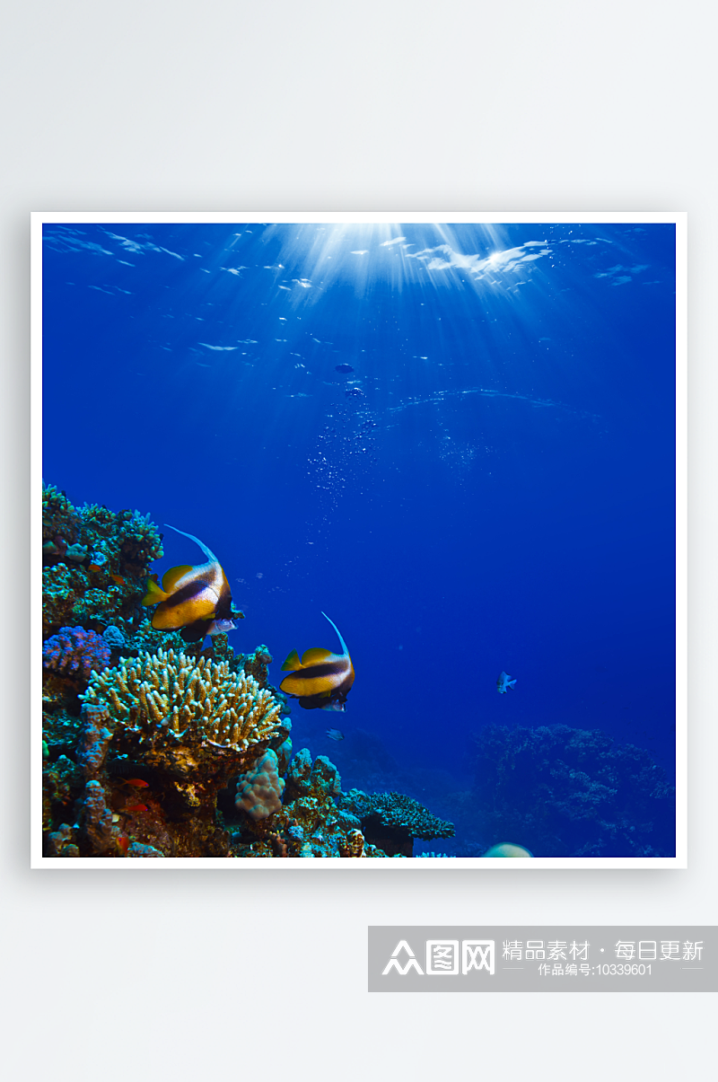 海底世界自然风景高清图摄影素材