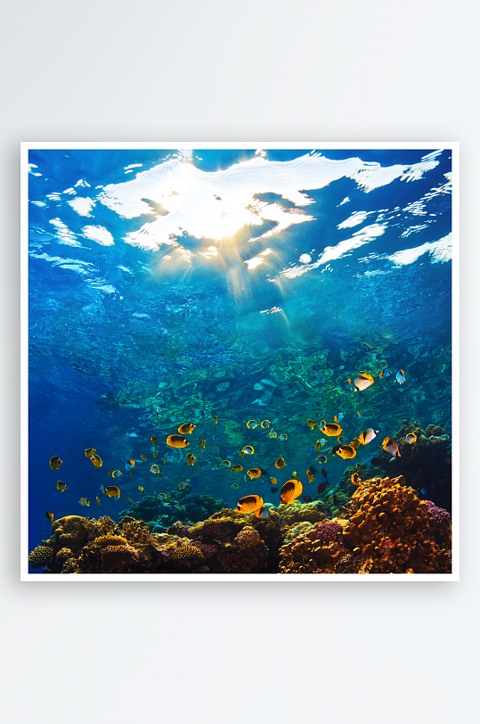 海底世界自然风景高清图