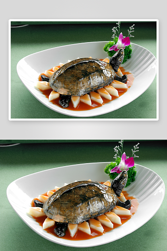 洞庭野生龟美食高清摄影图