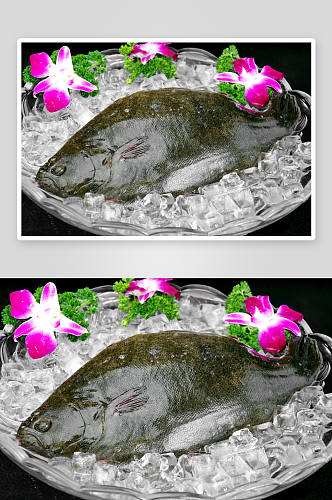 左口鱼美食高清摄影图