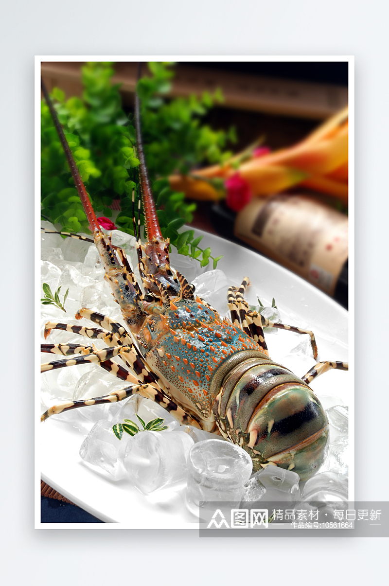 澳洲龙虾美食高清摄影图素材