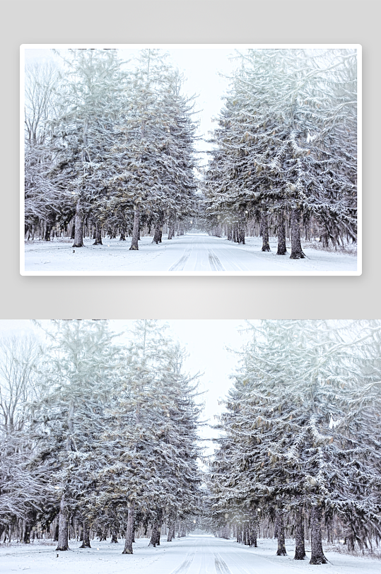 户外冬日雪山风景摄影