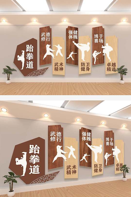 中华武术跆拳道文化墙展板